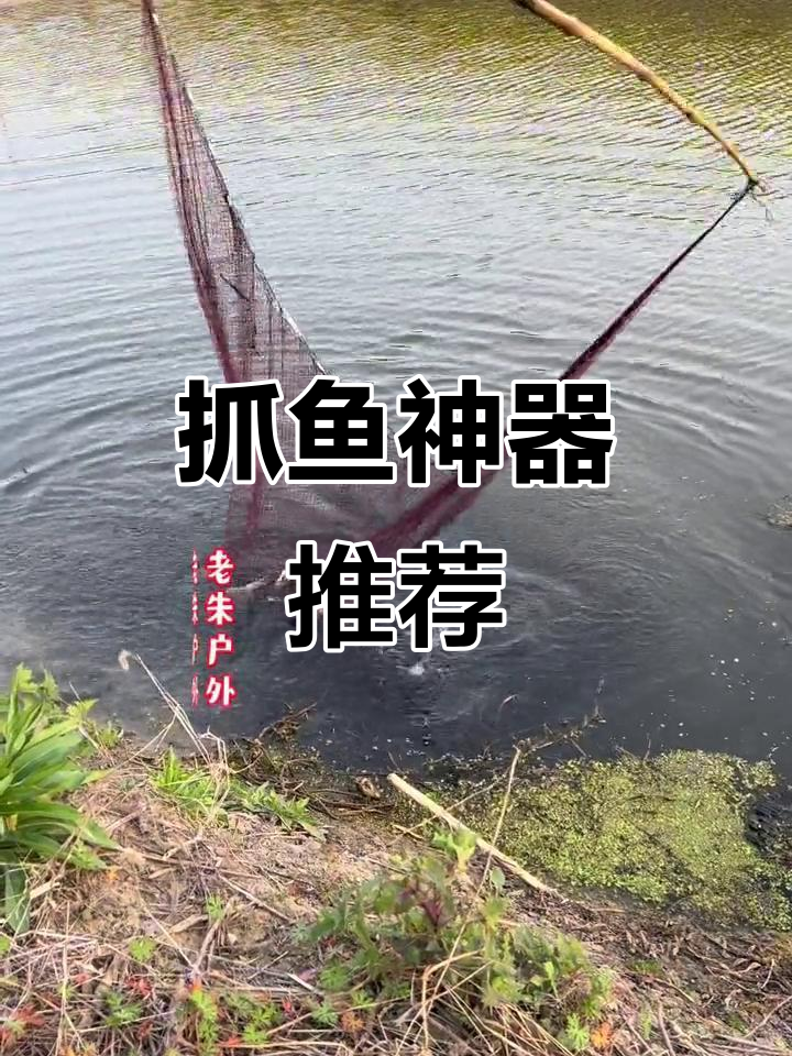 月亮网轻松捕鱼,户外必备神器!