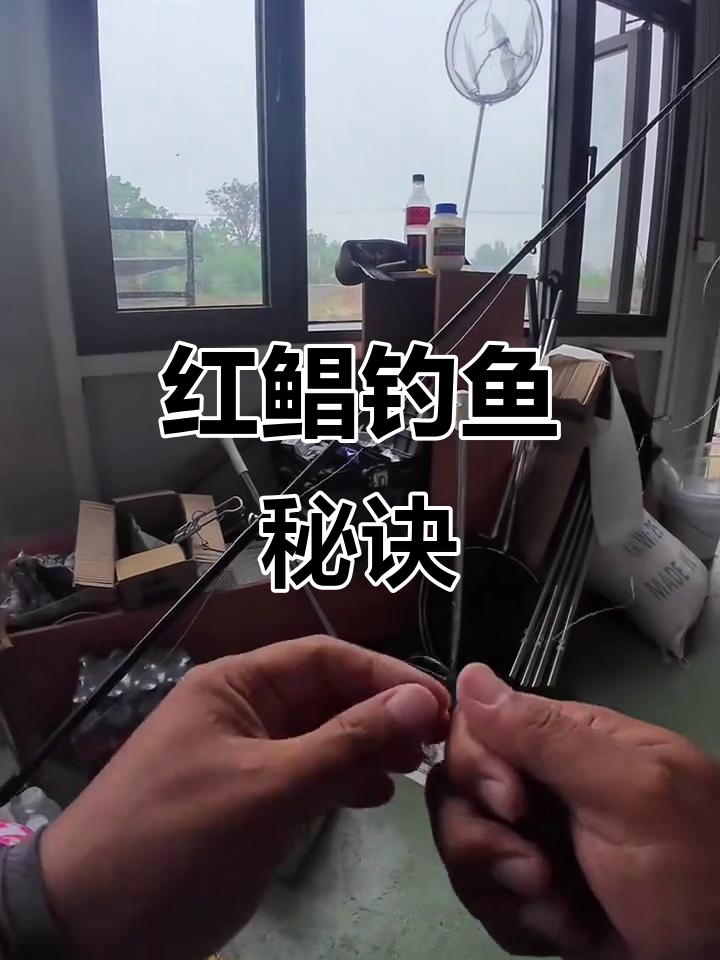淡水红鲳钓法揭秘,浮球技巧深藏玄机
