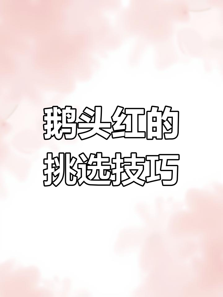 鹅头红品鉴与凸眼原因分析