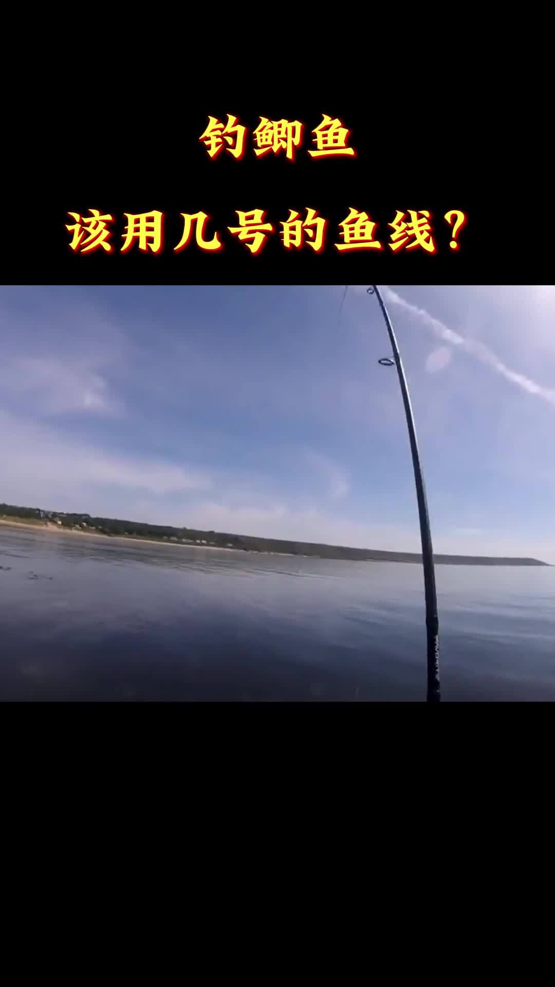 钓鲫鱼,该用几号的鱼线?