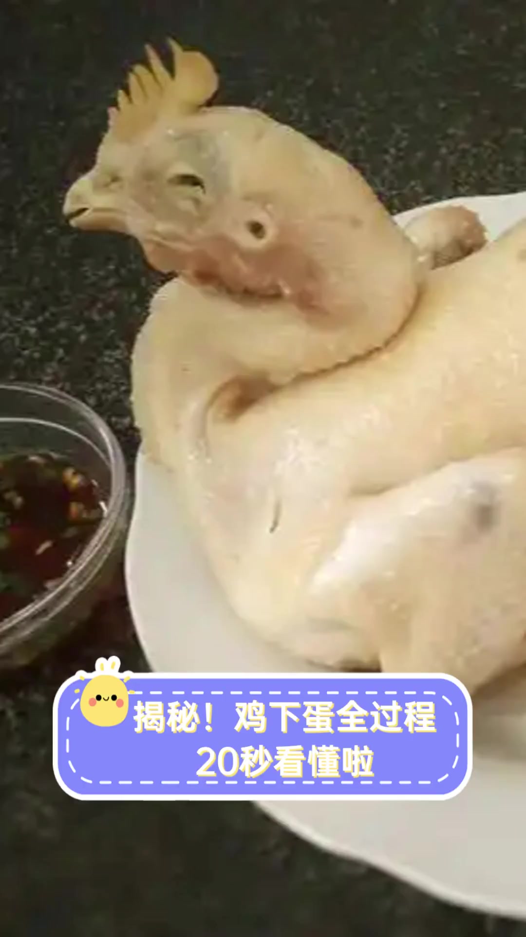 揭秘!鸡下蛋全过程,20秒看懂啦