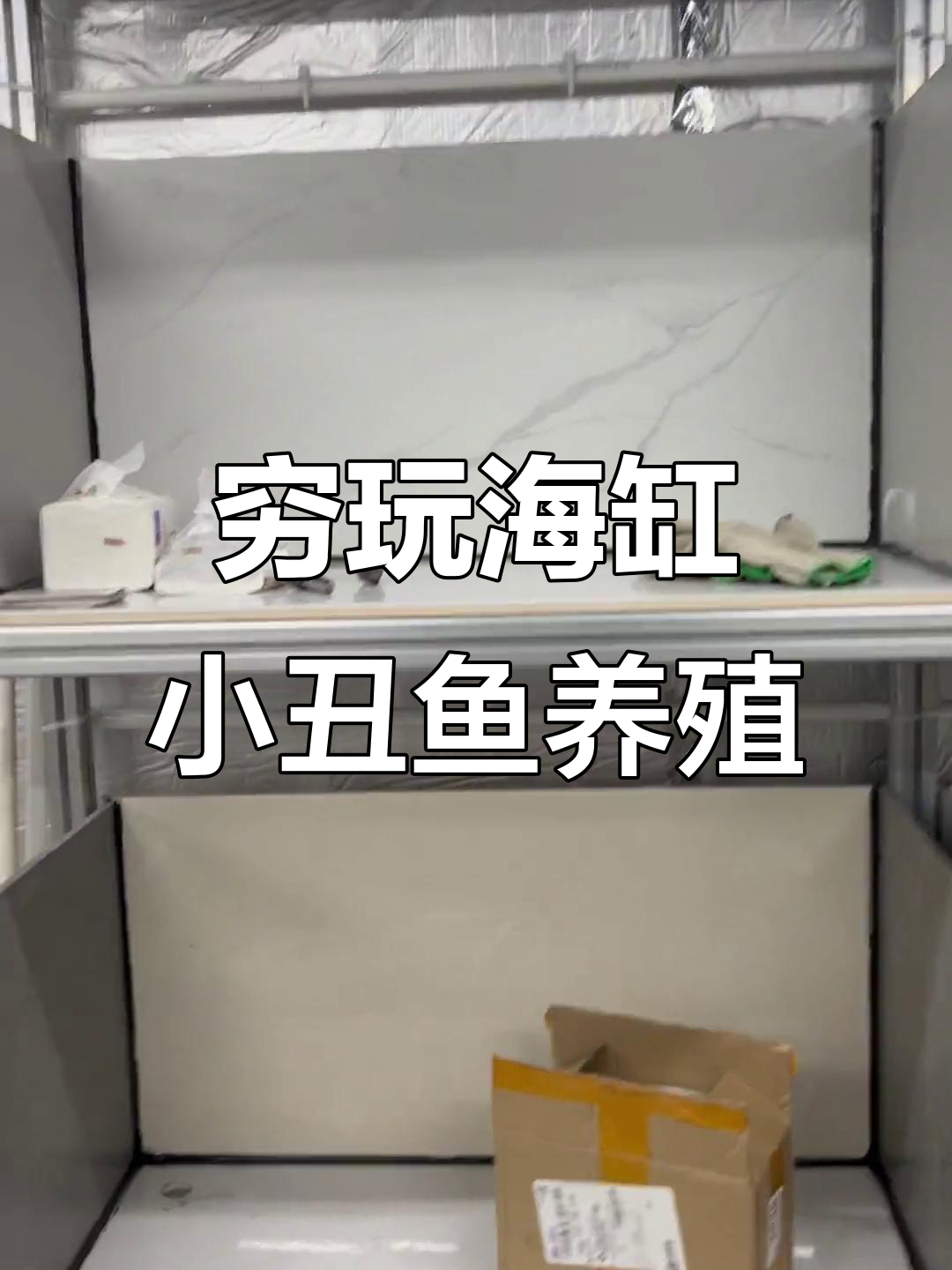 小丑鱼繁殖缸建设全攻略：瓷砖、气阀一应俱全