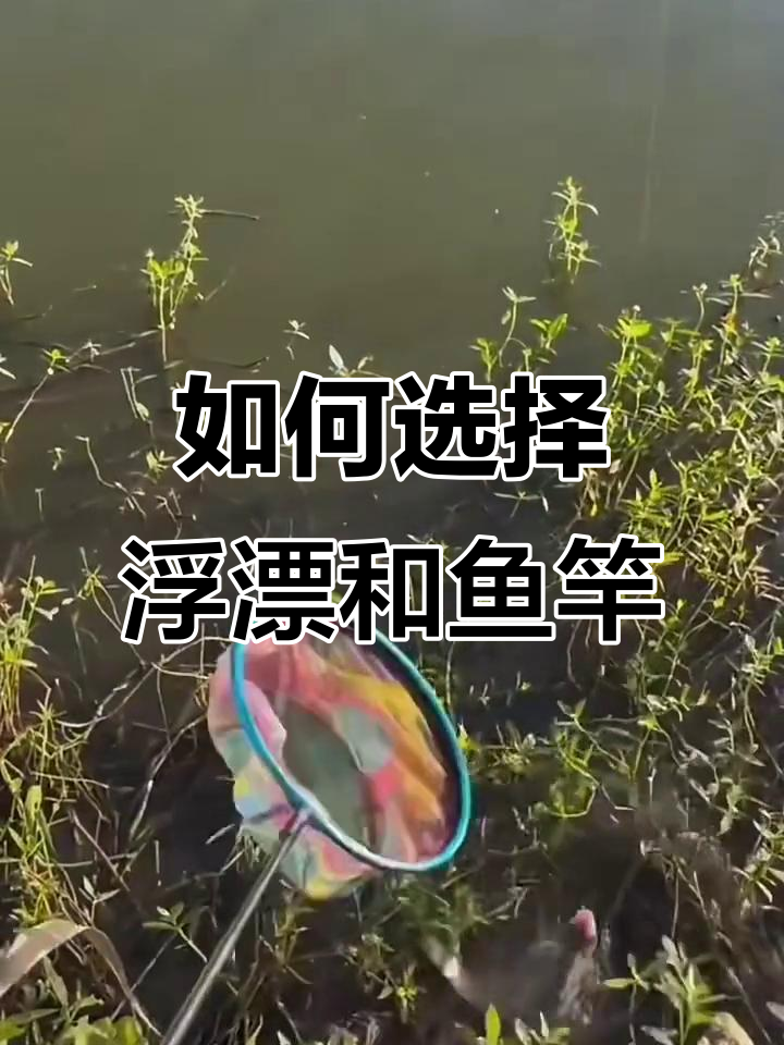 浮漂与鱼竿搭配技巧,选对长度才能钓得更轻松