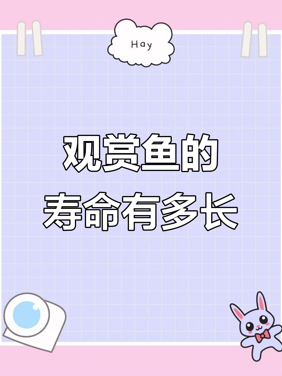 常见观赏鱼寿命大揭秘，孔雀到迷你鹦鹉都能活多久？