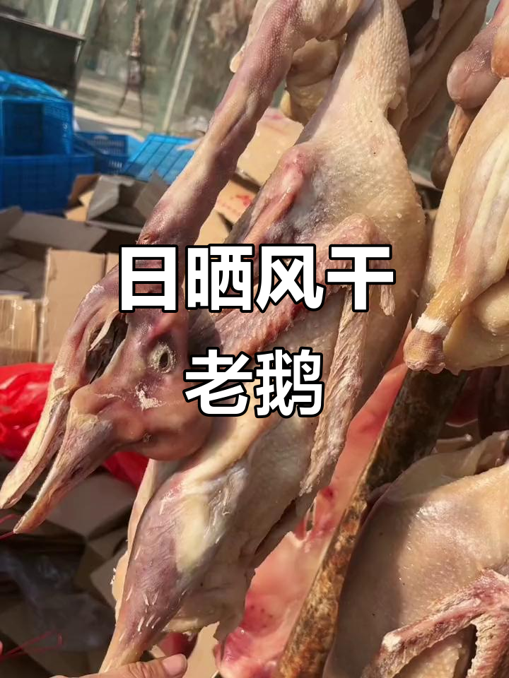 皖西大白鹅晒干，农家传统腌制技艺传承