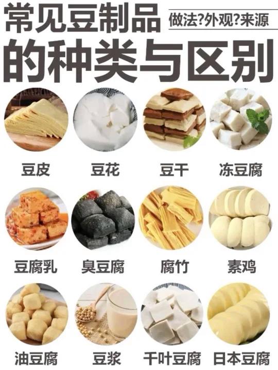 常见豆类制品有哪些、你又吃过哪些豆制品、它们有什么区别,这些你都知道吗?快进来看看
