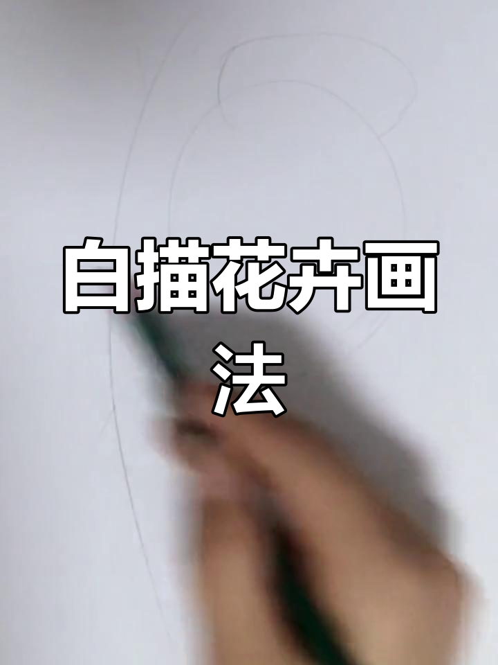 简单白描花卉绘制技巧