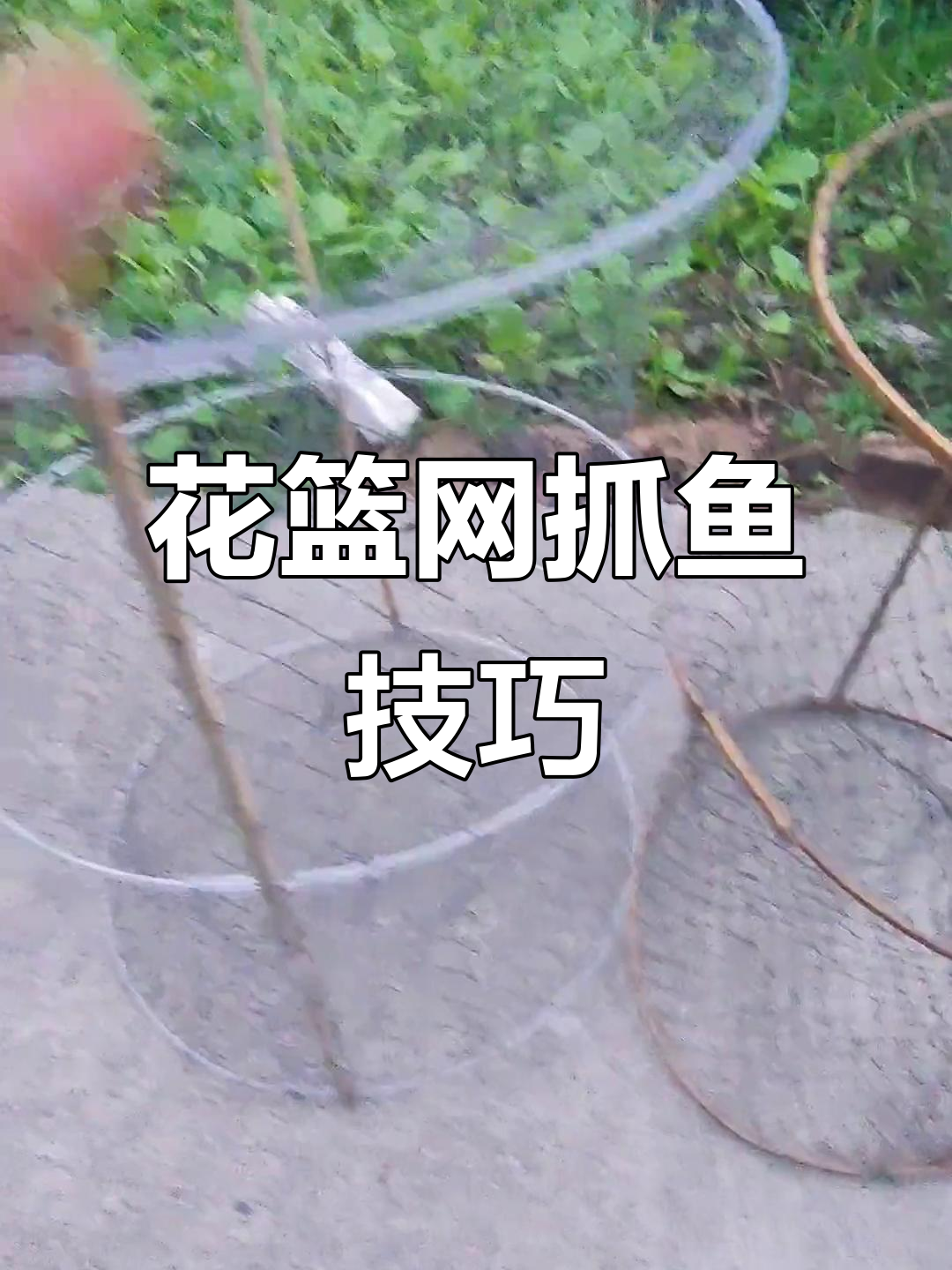 花篮网捕鱼技巧大揭秘:喇叭口与一线口的优缺点对比