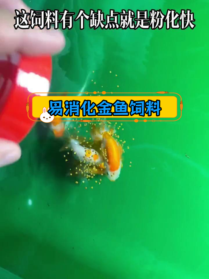 轻松消化的金鱼饲料推荐