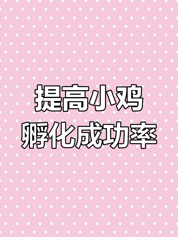 孵化小鸡成活率提高65%的秘诀,掌握这些技巧让你事半功倍
