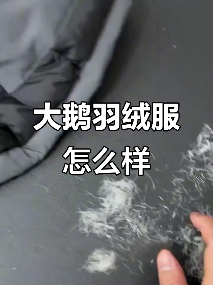 加拿大鹅羽绒服细节揭秘,手感像沙子?