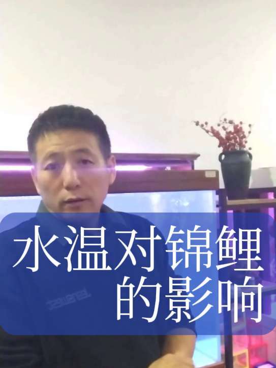 观赏鱼锦鲤对水温的要求?你了解吗?养鱼日记 锦鲤 观赏鱼 杨凌养鱼达人