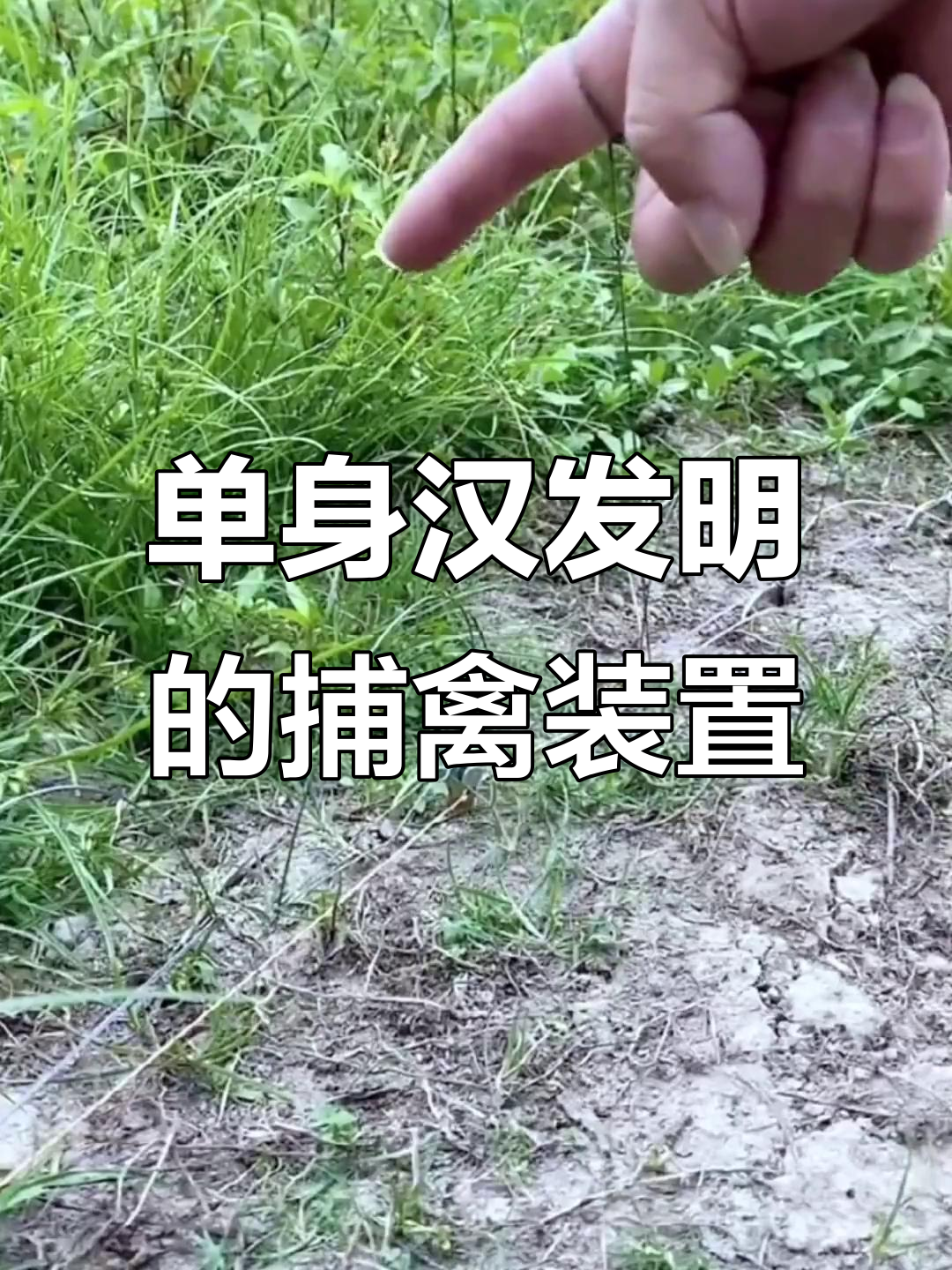 单身汉大哥发明傣家禽小装置,轻松抓鸡鸭鹅鸽子
