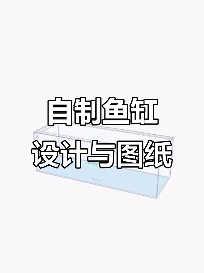 DIY鱼缸设计制作，轻松生成3D效果图与尺寸清单