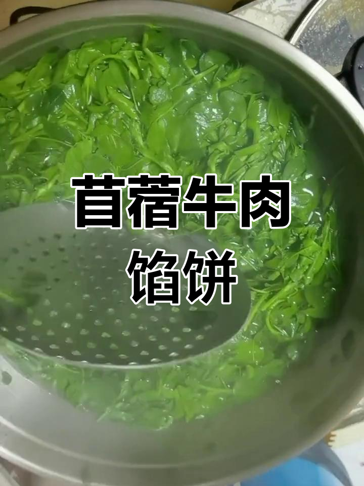春天野菜苜蓿,做馅烙饼尝鲜