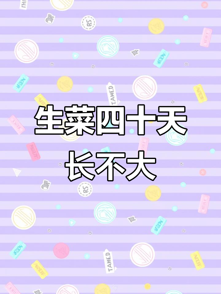 40天生菜苗期生长缓慢，原因竟是这些？