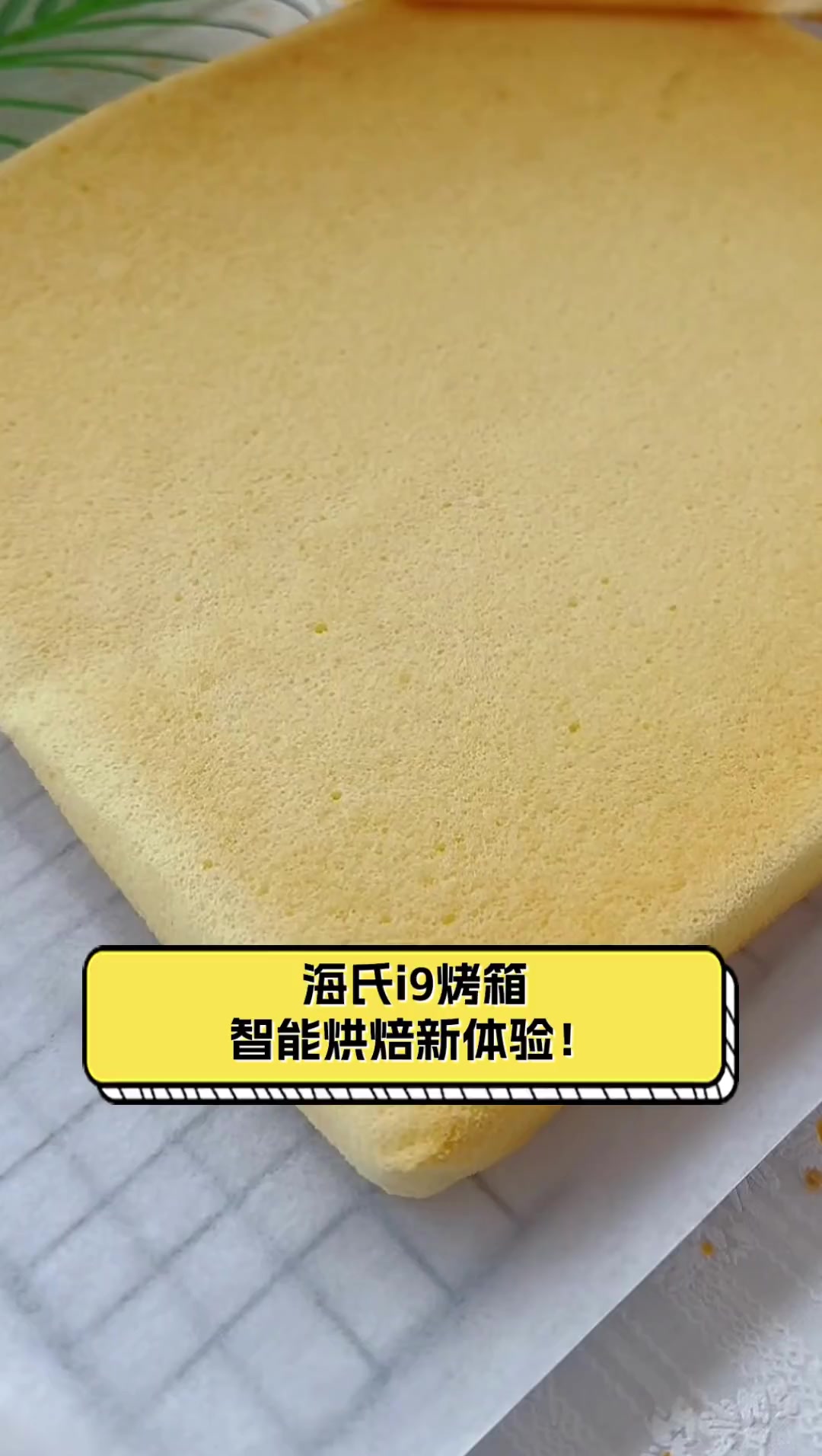 海氏i9烤箱,智能烘焙新体验!