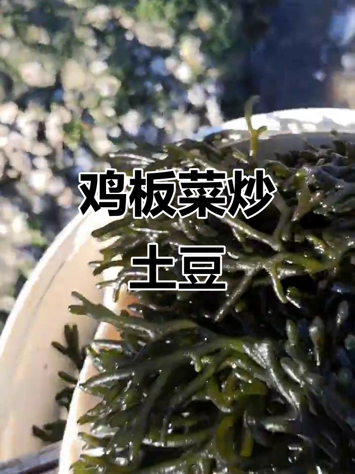鸡爪菜炒土豆,嫩滑又美味!