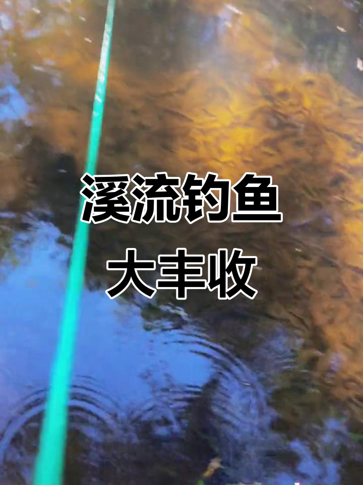 广东溪流钓,惊现罕见鳑鲏鱼种!