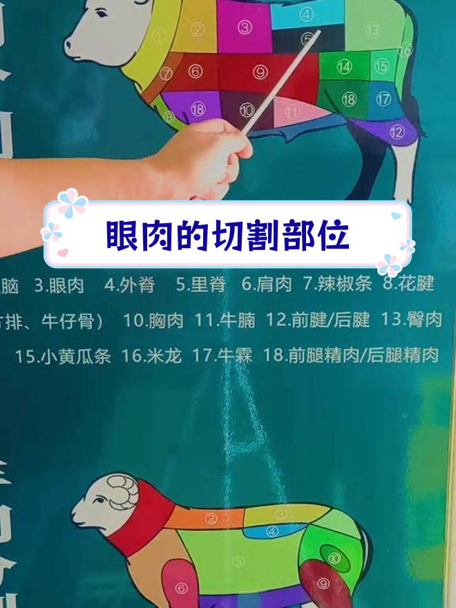 牛肉分割详解:眼肉分布位置
