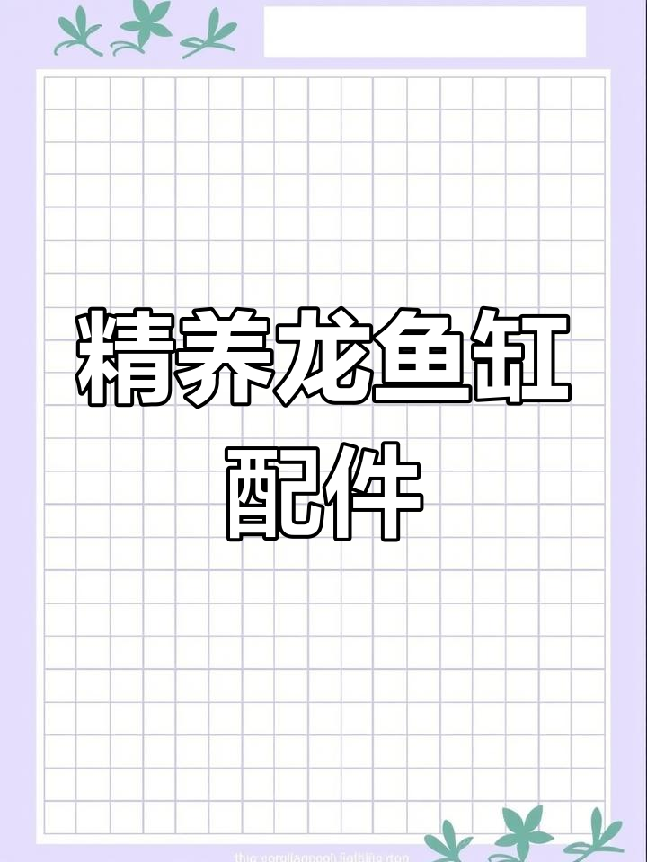 龙鱼缸过滤系统解析:管件功能详解