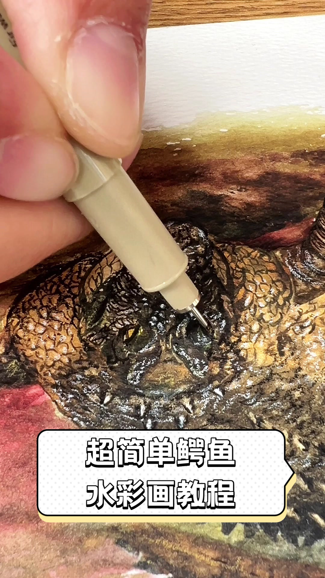 超简单鳄鱼水彩画教程