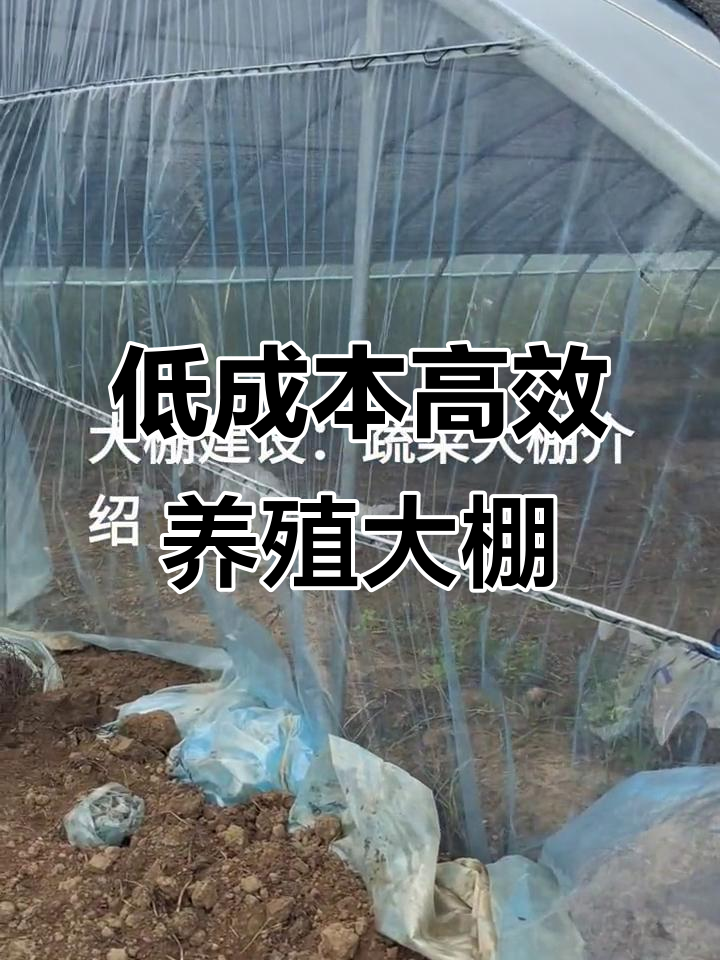 蔬菜大棚施工快速,冬暖夏凉设计更节能