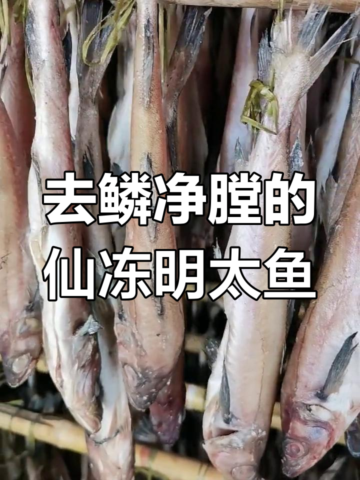 鲜冻明太鱼,去内脏带鳃,顺丰包邮到家