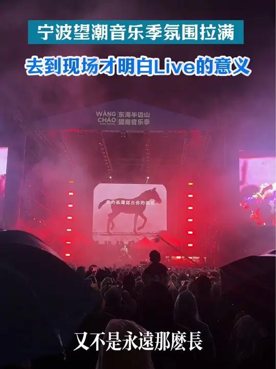 宁波望潮音乐季氛围感拉满!果然去到现场才明白live的意义!宁波文旅 live现场 宁波来