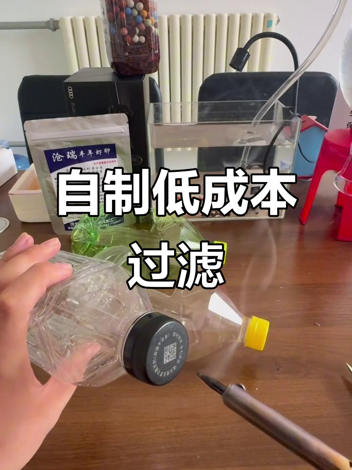 零成本DIY鱼缸过滤器，效果惊人！