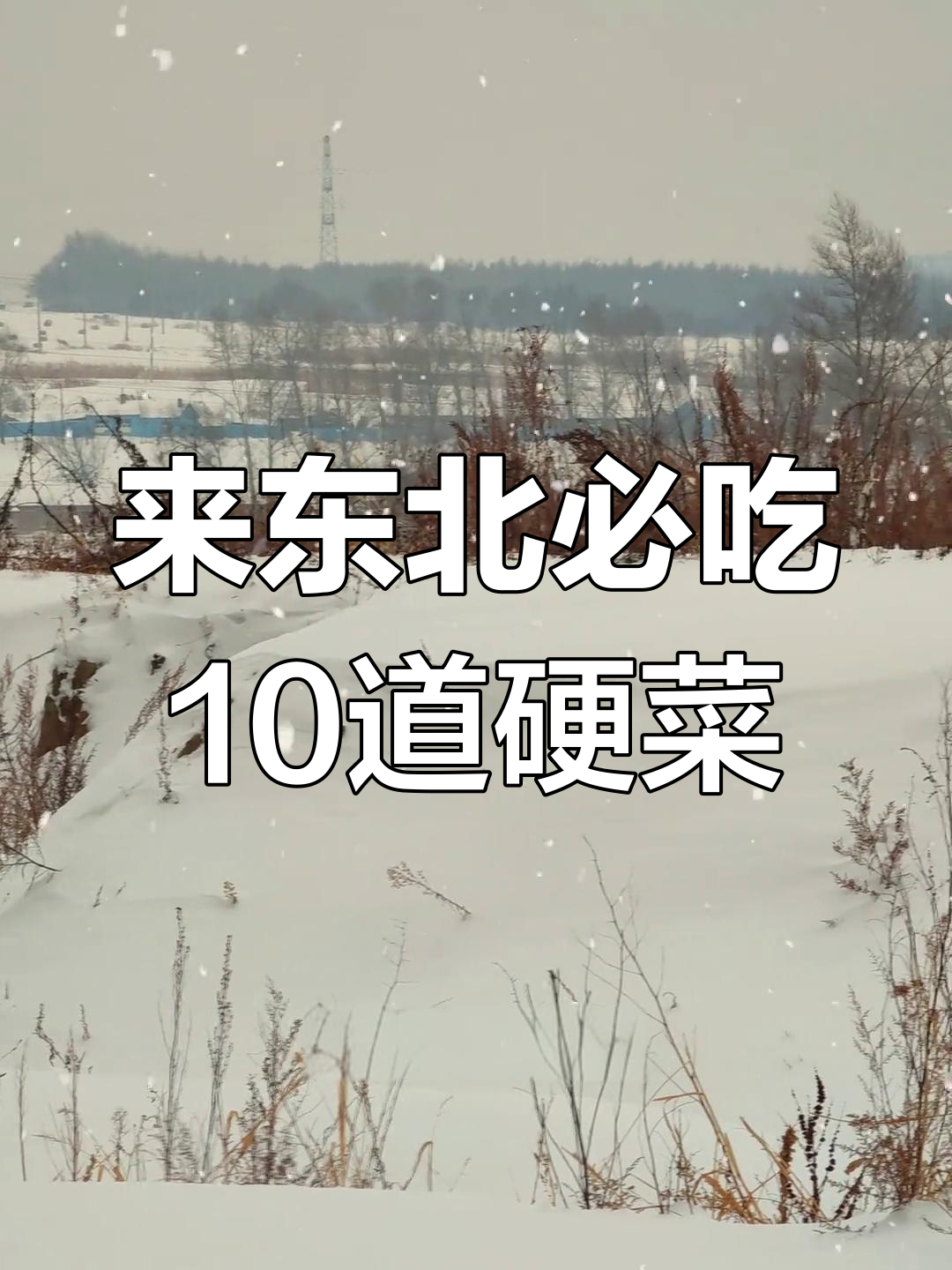 东北十大硬菜大揭秘,够不够“硬”你说了算!