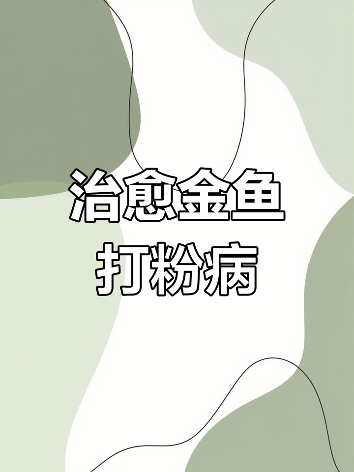 金鱼打粉病治疗全过程