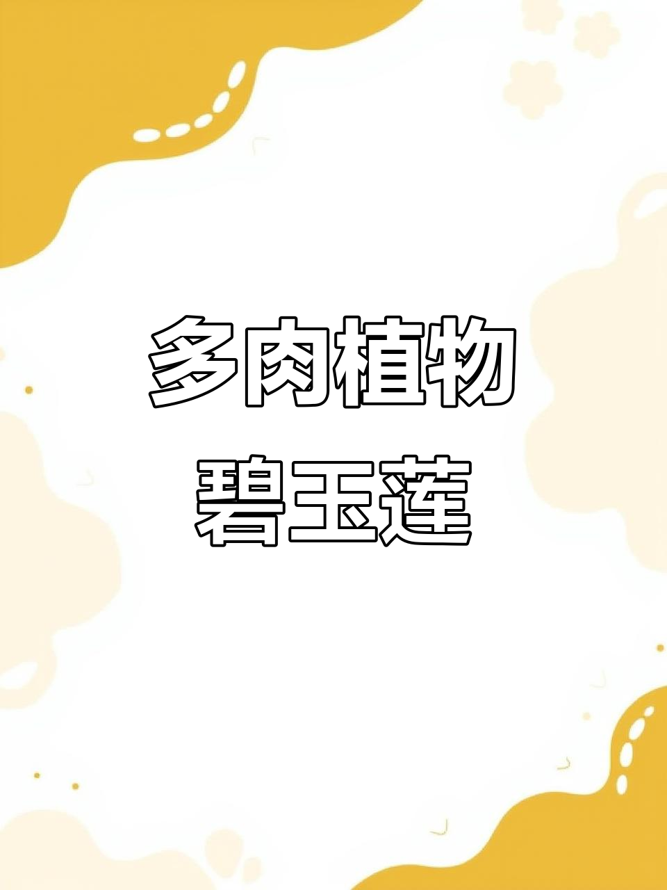 碧玉莲与紫玄月：多肉吊兰的美丽邂逅