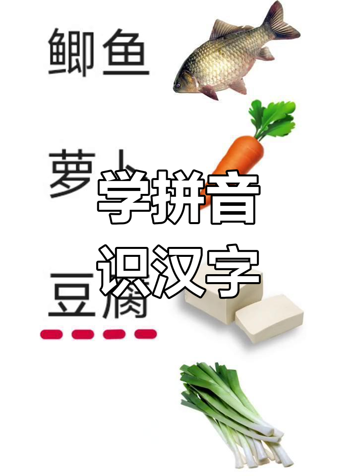 轻松学会拼音,鲫鱼萝卜豆腐大葱都能拼出来