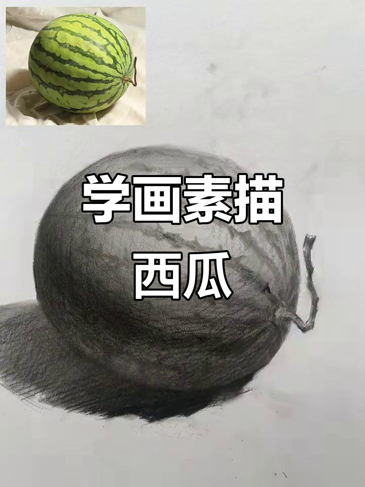 素描西瓜绘制技巧:从基本形状到细节刻画