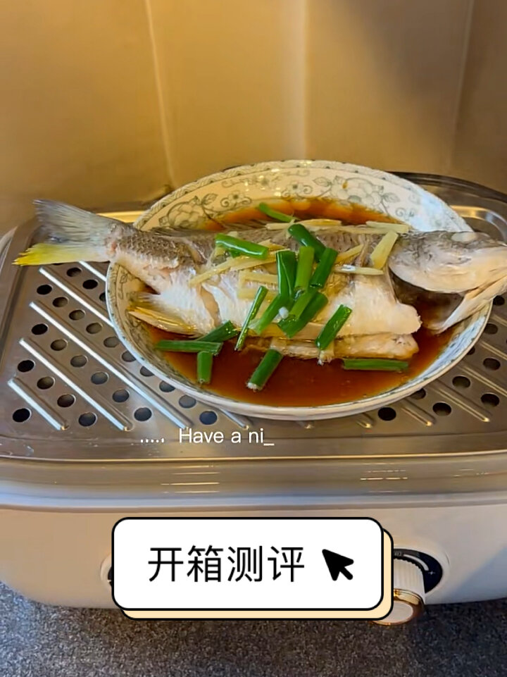 电蒸锅使用分享(四)