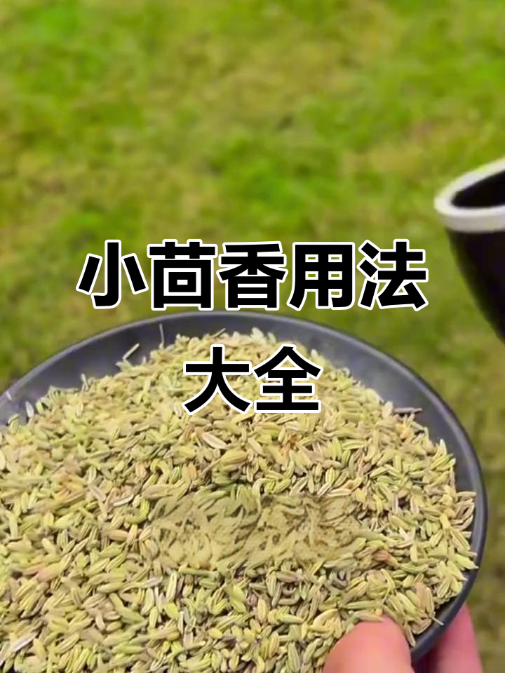 解锁小茴香的双重美味:种子调味与嫩叶烹饪全攻略