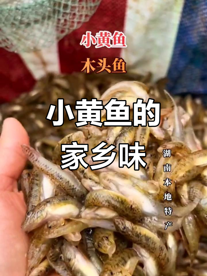湖南特产小黄鱼,火焙后香气扑鼻,鲜甜美味让人怀念童年