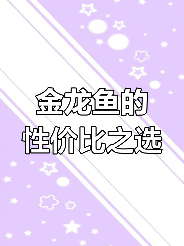 20公分金龙鱼,稳定混养,品质保证,性价比高