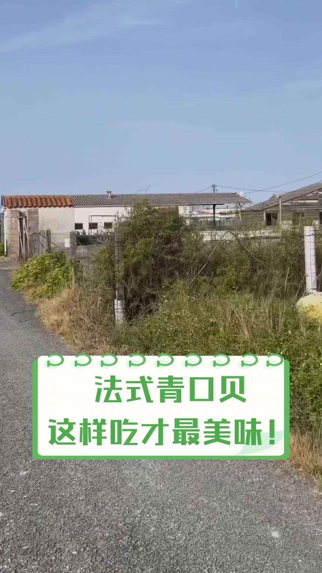 法式青口贝,这样吃才最美味!