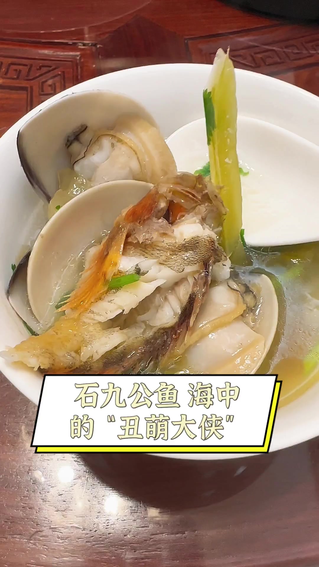 石九公鱼,海中的“丑萌大侠”