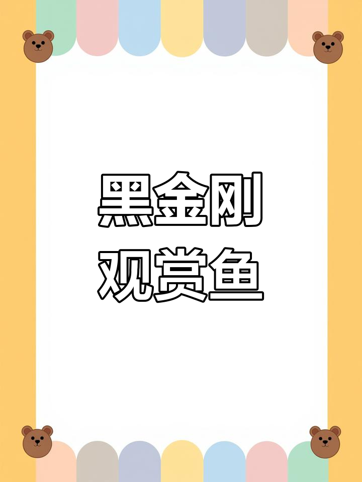 稀有黑金刚品种,唯一一条出售