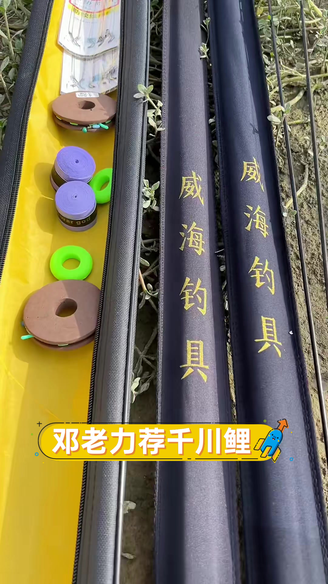邓老力荐千川鲤
