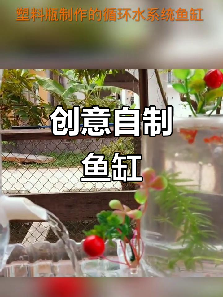 用废旧塑料瓶打造循环水鱼缸,简单又实用