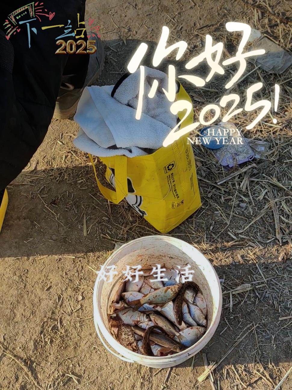 钓鱼的乐趣只有钓鱼人懂 钓鱼人就是这么疯狂 冬钓野钓 真实户外 鱼获