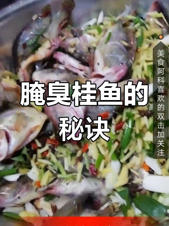 腌制臭桂鱼秘籍,快速掌握,轻松制作!