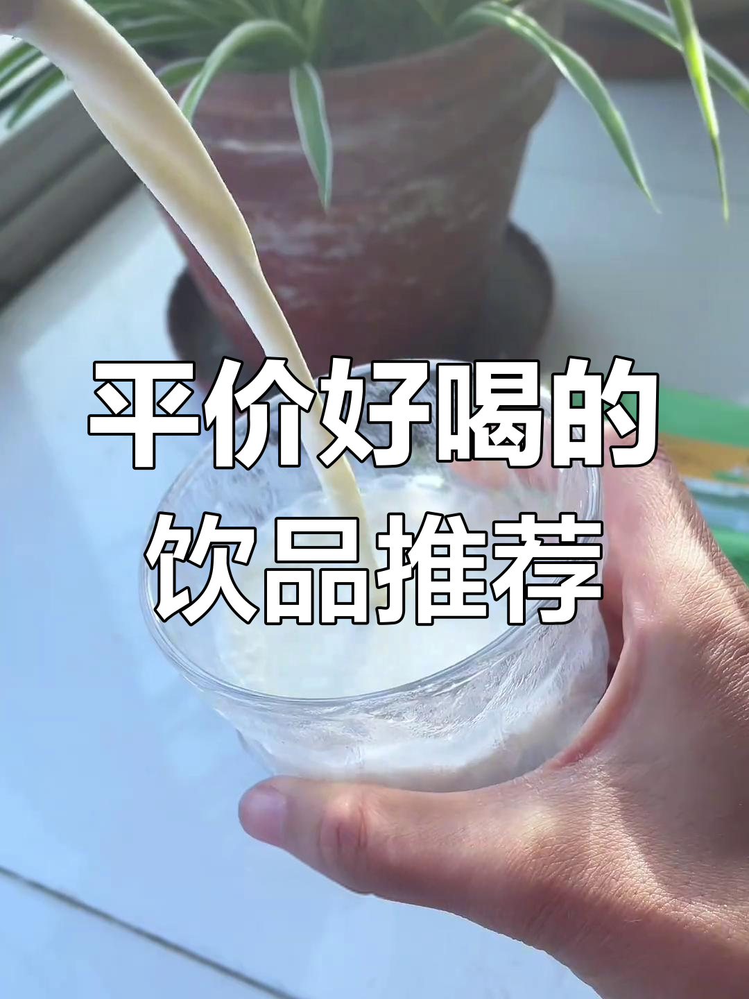 拼多多平价好喝饮料推荐,娃哈哈冰红茶、牛奶全都有