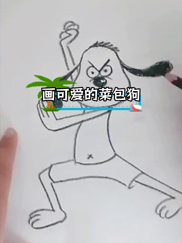 菜包狗的冒险之旅
