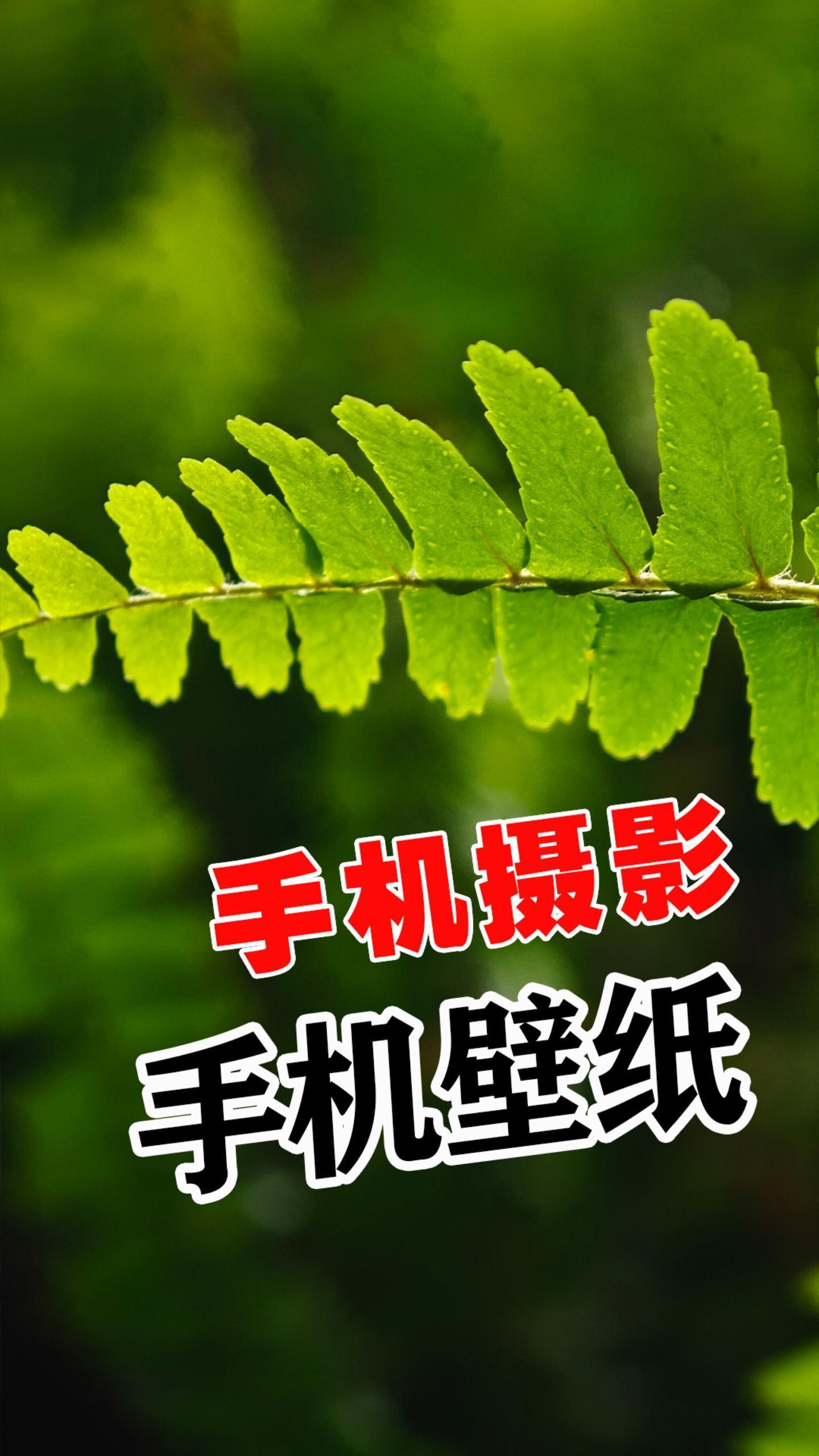 我曾遇到一束光 考考你有没有摄影眼考考你有没有摄影眼,在马路边拍出唯美手机壁纸 治愈系风景