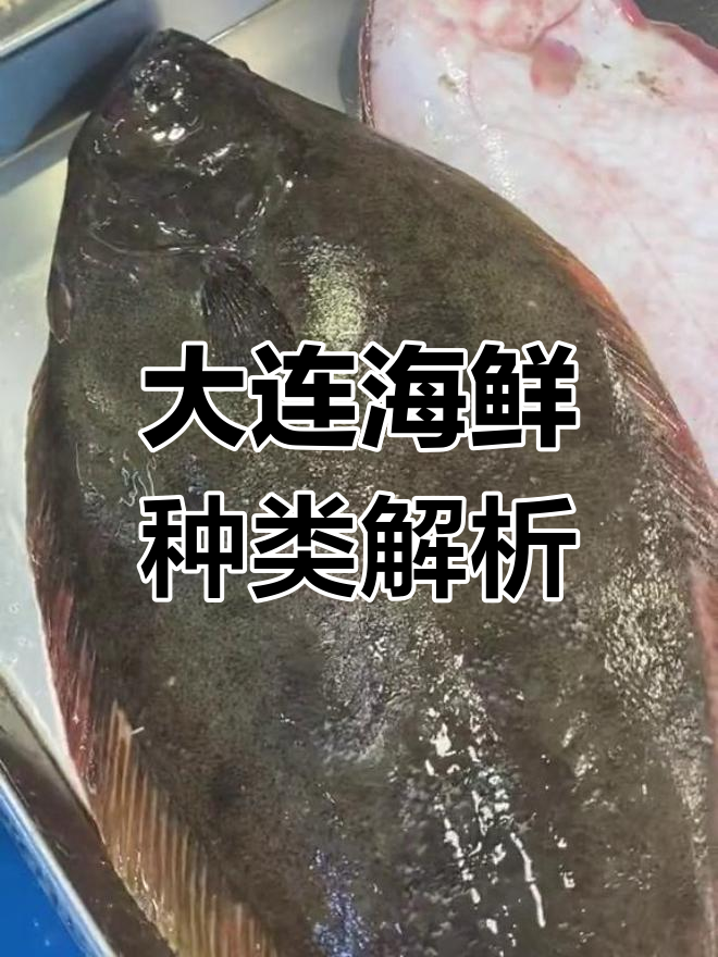 大连海域常见鱼类介绍,你认识吗?